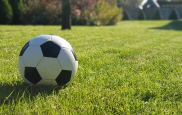 nuovi allenatori serie a