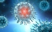sintomi compatibili con hantavirus trasferito allo spallanzani il giovane calabrese in isolamento