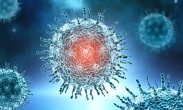 sintomi compatibili con hantavirus trasferito allo spallanzani il giovane calabrese in isolamento 265x160
