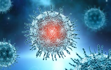 sintomi compatibili con hantavirus trasferito allo spallanzani il giovane calabrese in isolamento 364x230