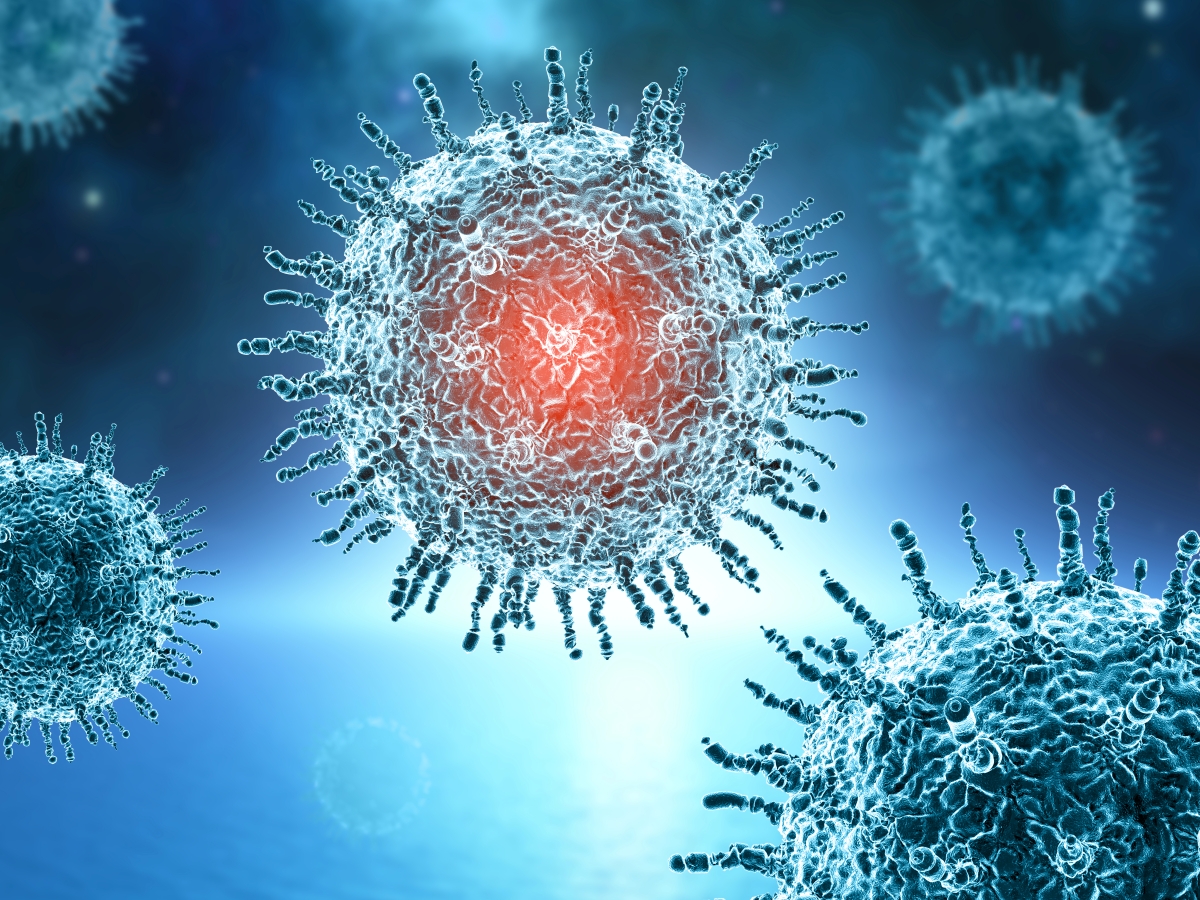 https://static.adhubmedia.com/notizie_it/wp-content/uploads/2026/05/sintomi-compatibili-con-hantavirus-trasferito-allo-spallanzani-il-giovane-calabrese-in-isolamento.jpg