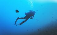 sub italiani maldive muta