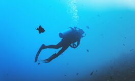sub italiani maldive muta