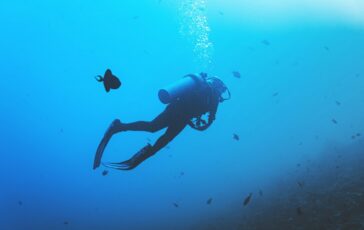 sub italiani maldive muta