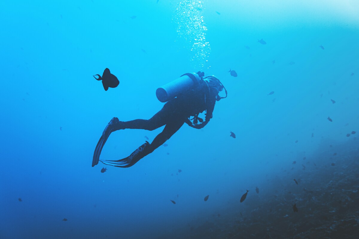 https://static.adhubmedia.com/notizie_it/wp-content/uploads/2026/05/sub-italiani-morti-alle-maldive-il-dettaglio-che-fa-discutere-0febf130.jpg