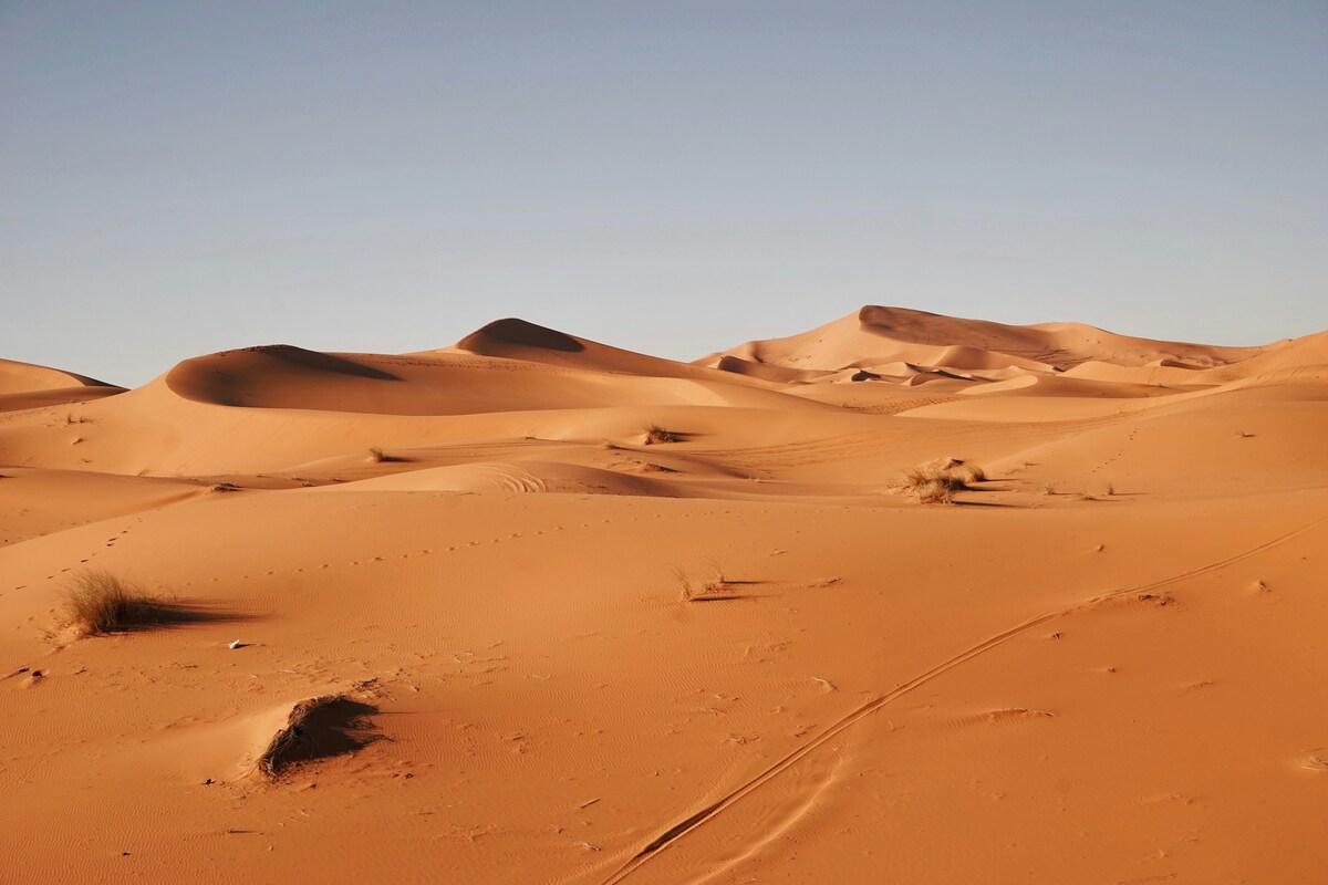 https://static.adhubmedia.com/notizie_it/wp-content/uploads/2026/06/49-persone-muoiono-di-sete-nel-deserto-del-sahara-19b4be31.jpg