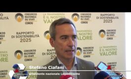 Ambiente Ciafani Legambiente ‘picchi straordinari di raccolta e rigenerazione olio minerale 265x160