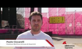 Ambiente Ciccarelli Ichnusa ‘il nostro impegno nasce dal legame profondo con la Sardegna 265x160
