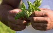 barilla nel rapporto di sostenibilita le storie di un impegno a favore di ambiente e comunita 2