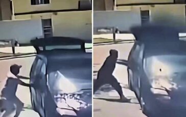 Braccianti bruciati vivi ad Amendolara Occhiuto pubblica il video Notizie che fanno vacillare la fiducia nellumanita 364x230