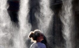 Caldo e salute impennata temperature ha effetti su organi vitali e cervello 265x160