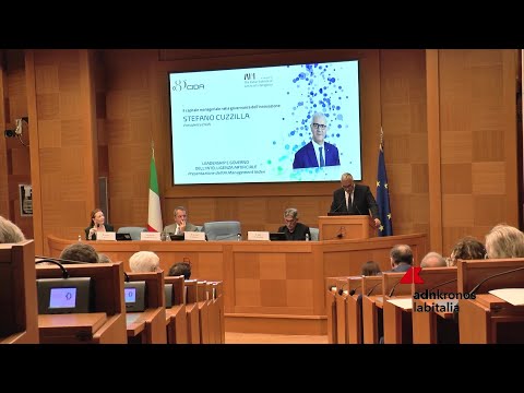 Cida: "Ai già nel lavoro dei manager ma non in modelli organizzativi"