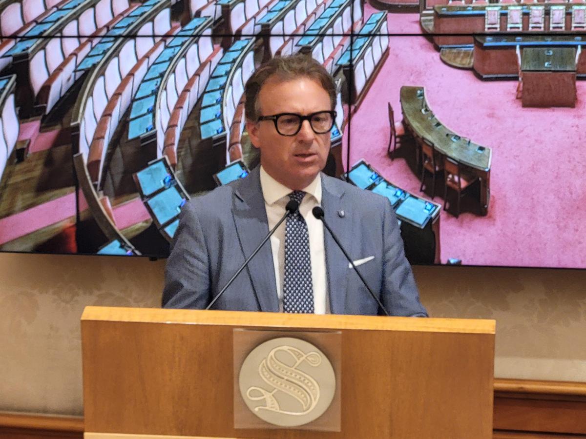 Damiani (Fi): "Collaborazione istituzioni e associazioni fondamentale"