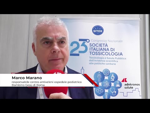 Estate: tossicologo Marano, ‘morso di vipera raro, ma pericoloso per i bambini’