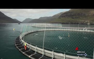 findus rafforza il proprio impegno per mari oceani e sostenibilita ittica con importanti novita 2
