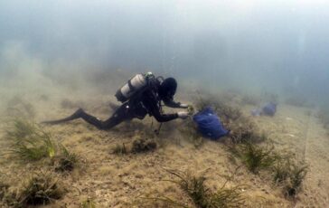 findus rafforza limpegno per la tutela del mare lotta a plastiche e ripristino posidonia oceanica 2