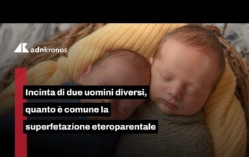 Gemelli nati dalla stessa madre con padri diversi come avviene la superfetazione eteropaternale 364x230