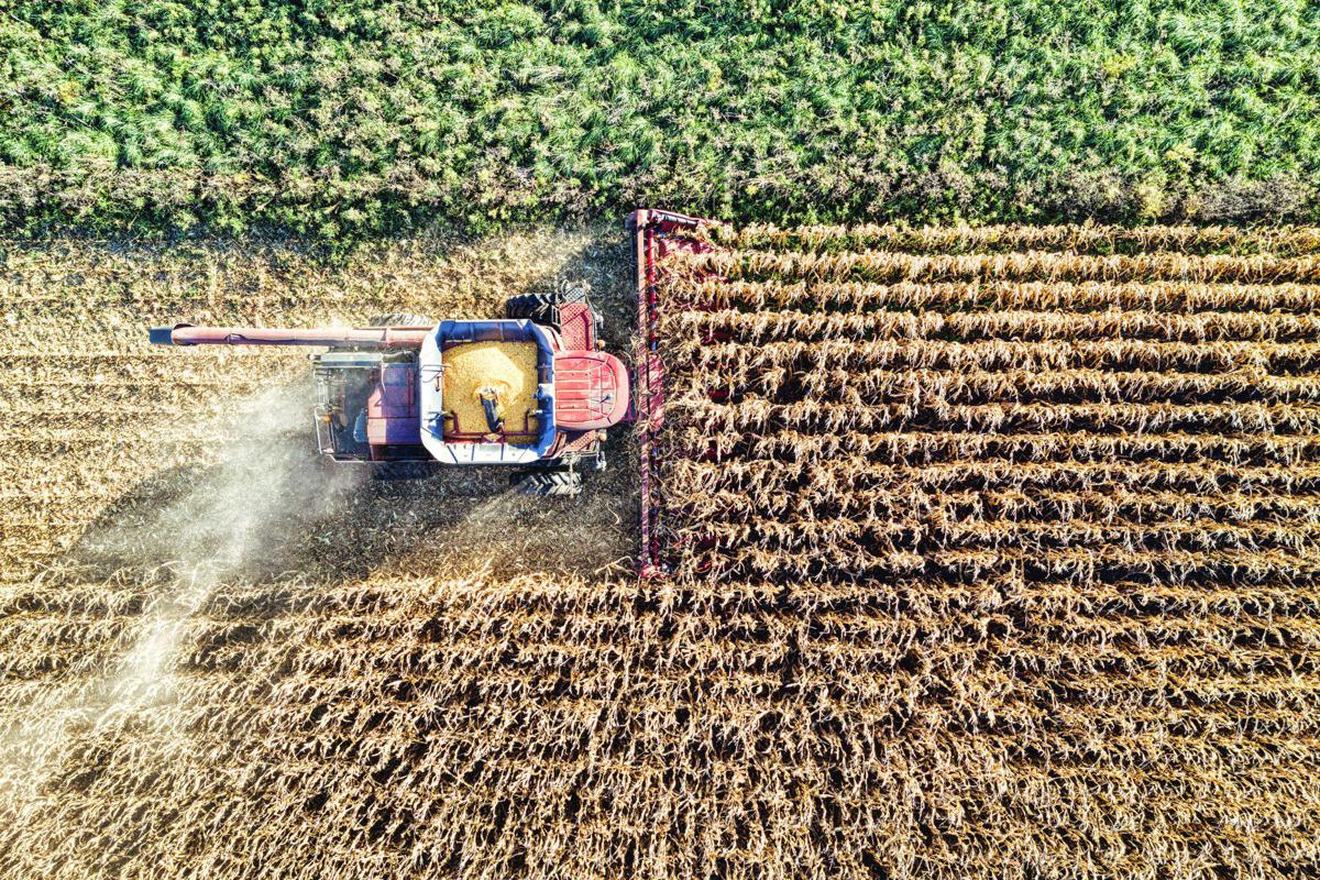 Hendron, Wild Bioscience: "Con nuove tecniche genomiche svolta storica per l’agricoltura europea"