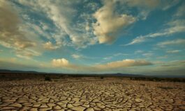 Il ricercatore del Cnr Tra clima e consumo del suolo in Italia e allarme biodiversita 265x160