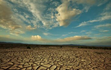 Il ricercatore del Cnr Tra clima e consumo del suolo in Italia e allarme biodiversita 364x230