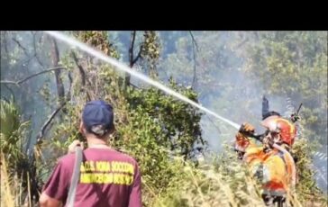 Incendio a Castel Porziano Canadair in azione a Ostia 1 364x230