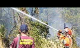 Incendio a Castel Porziano Canadair in azione a Ostia 265x160