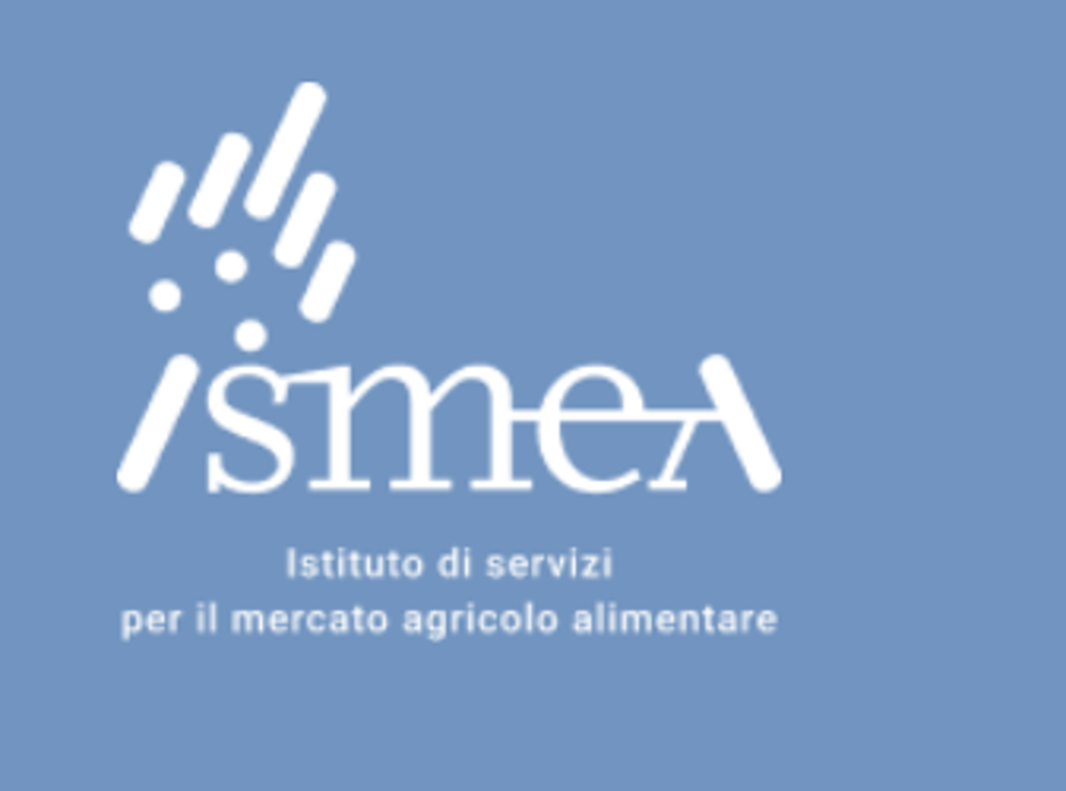 Ismea: bilancio 2025, ente solido e utile in crescita, approvati nuovi criteri Banca nazionale delle Terre Agricole