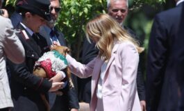 Italia Corea Meloni si fa foto con Briciola cagnolina mascotte Carabinieri star a Villa Pamphlij 265x160