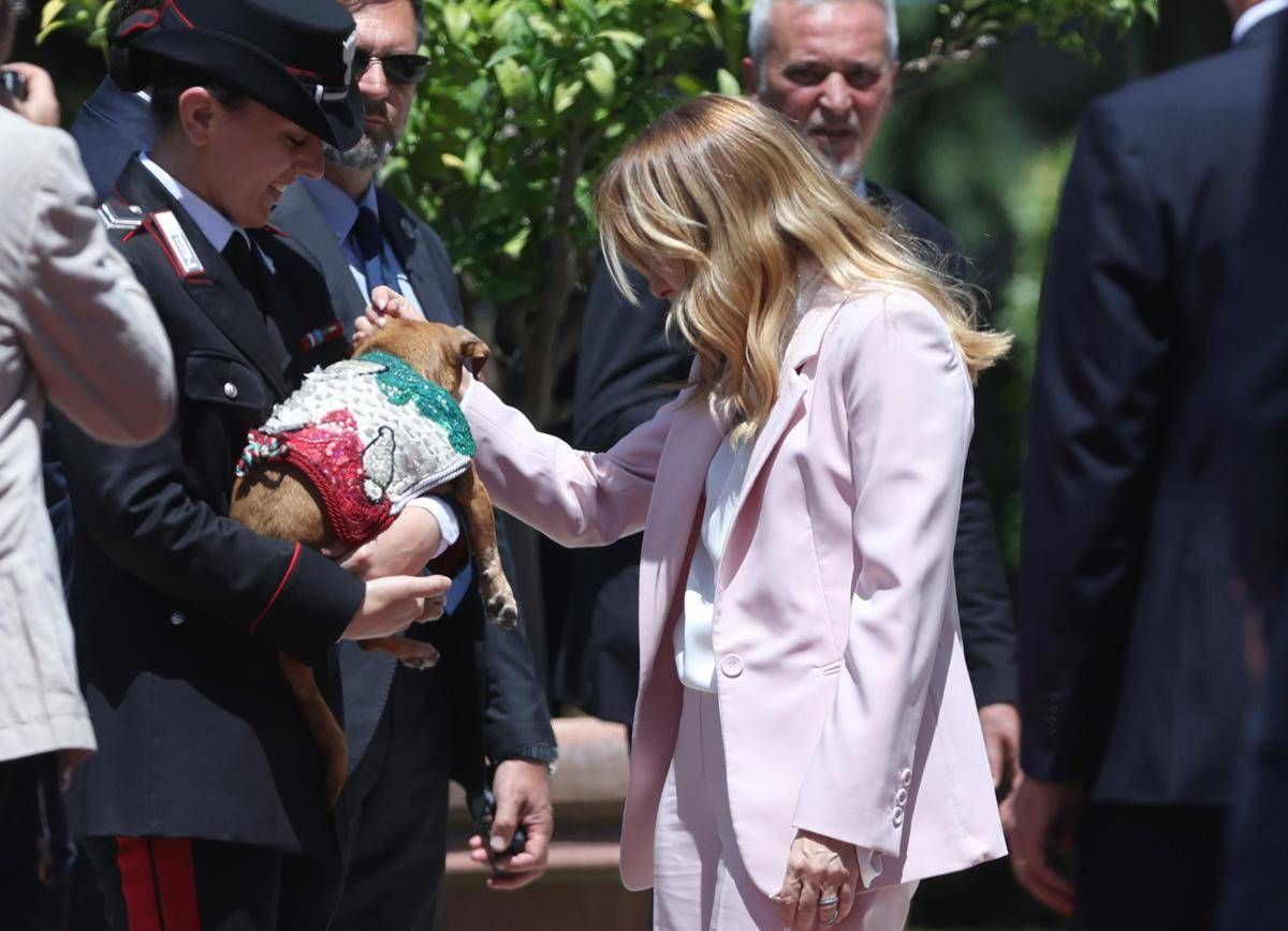 Italia-Corea, Meloni si fa foto con 'Briciola': cagnolina mascotte Carabinieri 'star' a Villa Pamphlij