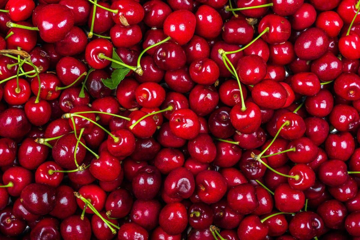 La ciliegia e le qualità 'nascoste', Calabrese: "Anche il gambo fa bene"