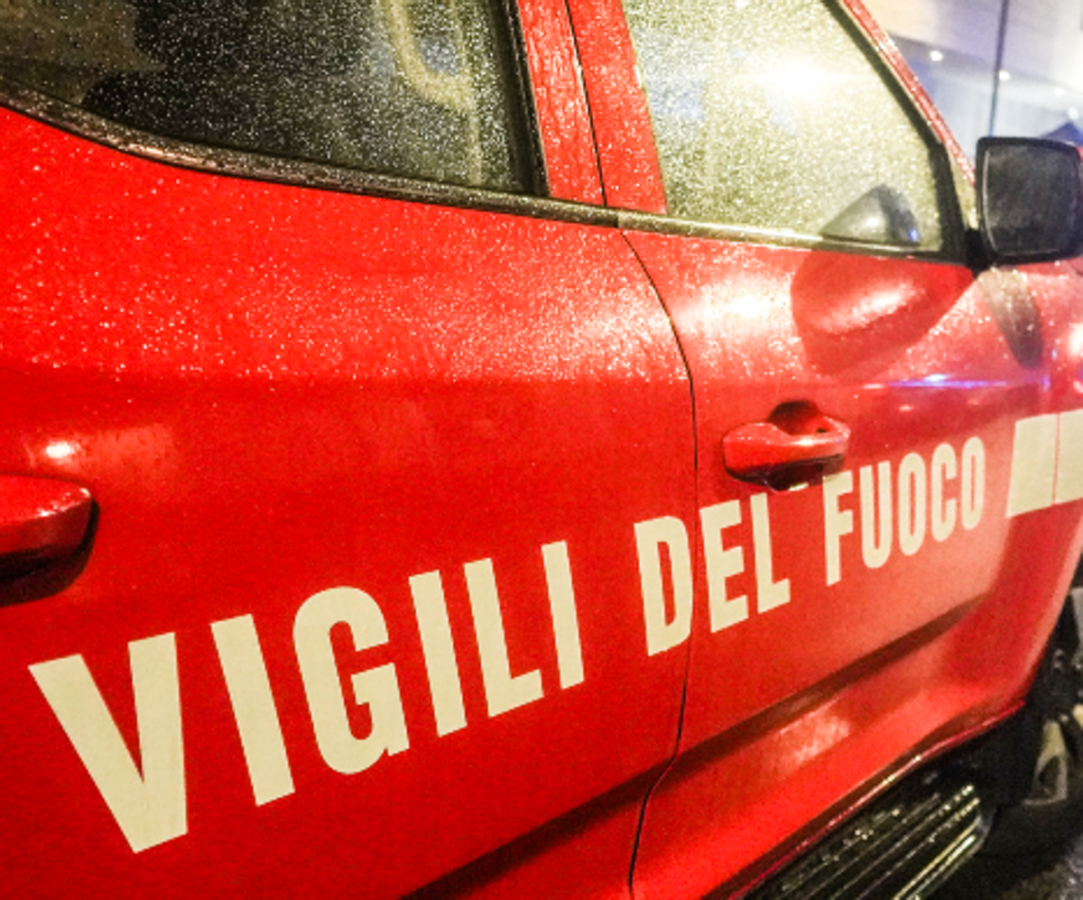 Leccio monumentale incendiato a Bagno a Ripoli, identificati 4 minori: volevano cuocere wurstel