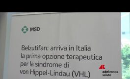 Malattie rare sindrome di von Hippel Lindau in Italia prima terapia sistemica 265x160
