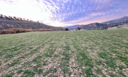 Masini Coldiretti piano invasi e innovazione sui campi contro rischio desertificazione 265x160