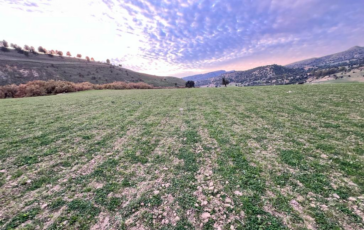 Masini Coldiretti piano invasi e innovazione sui campi contro rischio desertificazione 364x230