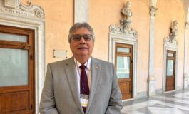 Micossi Uip Paraguay terreno vantaggioso per lindustria italiana 265x160
