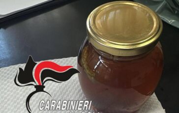 Miele da sballo allarme tra giovani Primo passo verso altre sostanze pericolo e il crack 364x230