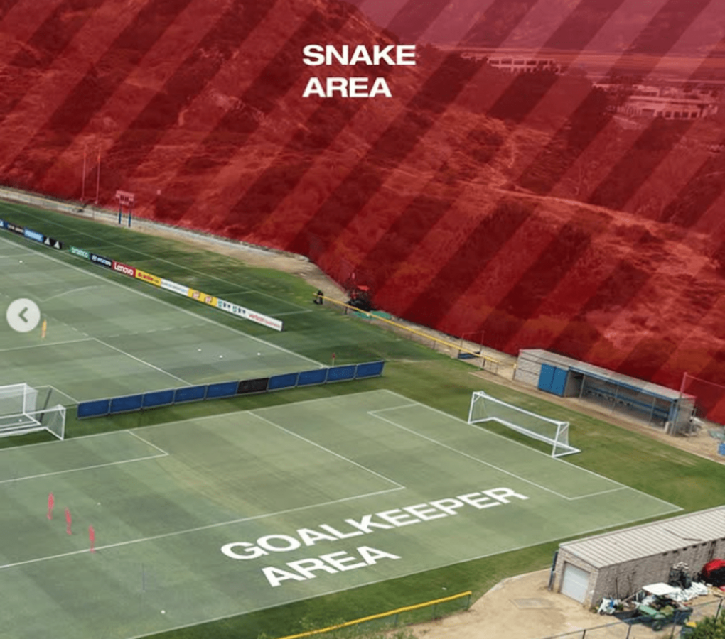Mondiali 2026, ritiro da 'paura' per la Svizzera: campo di allenamento infestato da serpenti
