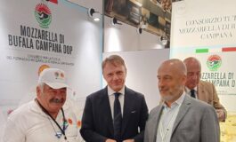 Mozzarella dop Consorzio a New York per mostrare a pubblico Usa come nasce bufala campana 265x160