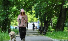 Obbligo di lavare la pipi del cane in strada Bassetti Dal punto di vista scientifico non serve a nulla 265x160