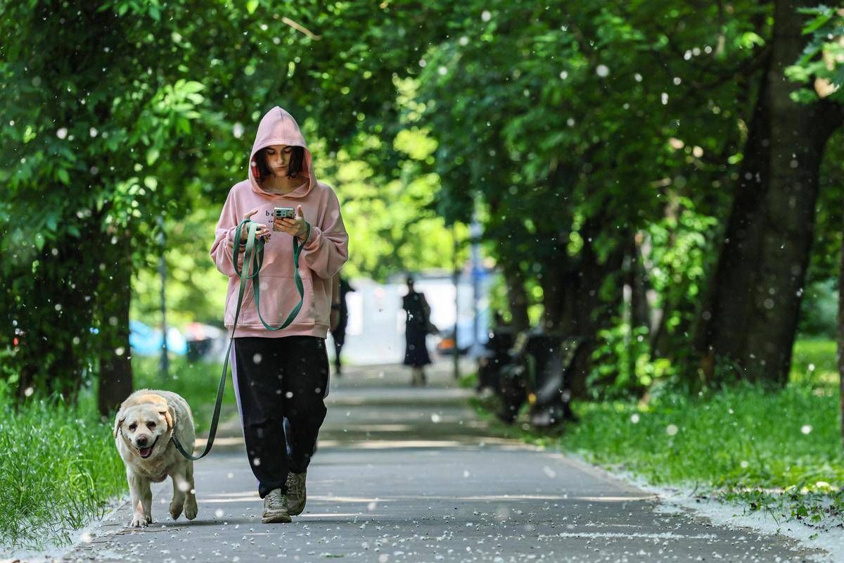 Obbligo di lavare la pipì del cane in strada, Bassetti: "Dal punto di vista scientifico non serve a nulla"