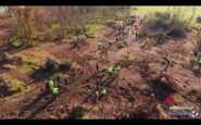 quattro anni di foresta italia 175mila piante messe a dimora 2