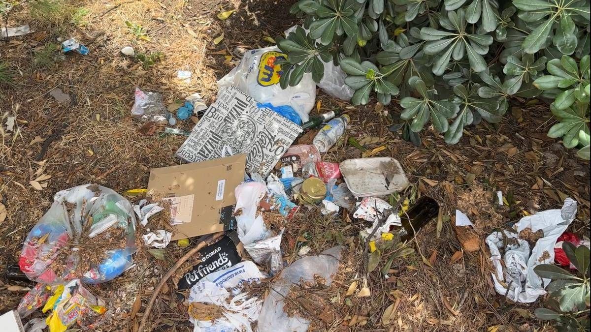 Roma, aiuole e marciapiedi nel degrado intorno alla Nuvola: all’Eur cittadini costretti a camminare fra le auto