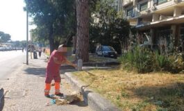 Roma ripulite le aiuole nel degrado intorno alla Nuvola lintervento dopo la denuncia dellAdnkronos 265x160