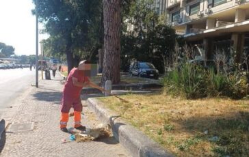Roma ripulite le aiuole nel degrado intorno alla Nuvola lintervento dopo la denuncia dellAdnkronos 364x230
