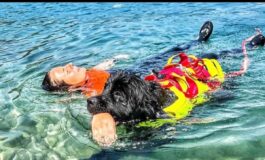 Sics a lavoro i guardiani a quattro zampe del mare 265x160