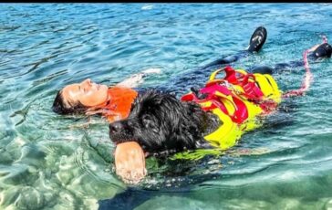 Sics a lavoro i guardiani a quattro zampe del mare 364x230