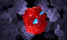 Talassemia e anemia falciforme la forbice molecolare funziona anche nei bambini 265x160