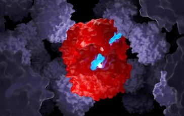 Talassemia e anemia falciforme la forbice molecolare funziona anche nei bambini 364x230