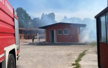 Treviso incendio allippodromo SantArtemio sei cavalli muoiono tra le fiamme 364x230