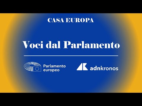 Ue: Ceccardi (Lega), 'Maggioranza destra su rimpatri, riusciremo su altri temi'